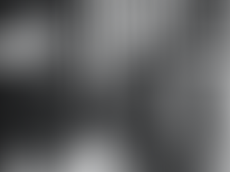 History of Kamado Grills