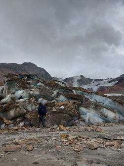 On the Forni Glacier
