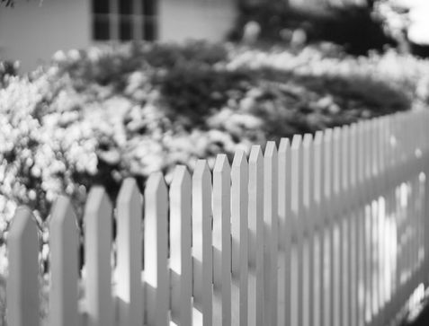 THE PICKET FENCE