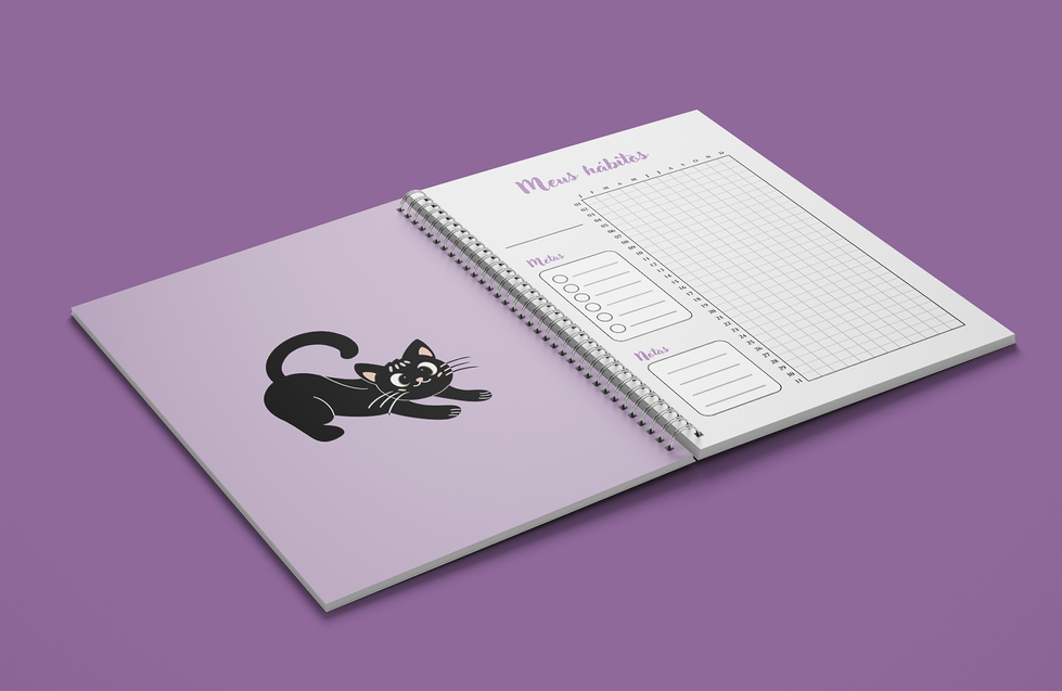 planner-creative-ilustracao-design-emocoes-da-pampam (4)