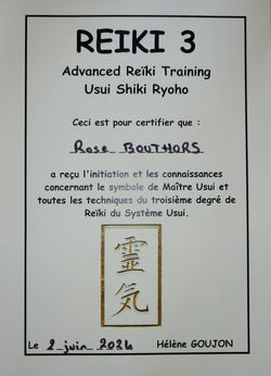 Reiki3