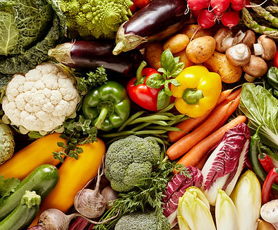 Dive into our carefully curated catalogs to discover a wide range of products tailored to meet your foodservice needs. From premium ALK2NY fish to eco-friendly disposables and everything in between, our catalogs make it easy to find the right items for your business. Click below to explore and elevate your offerings today!