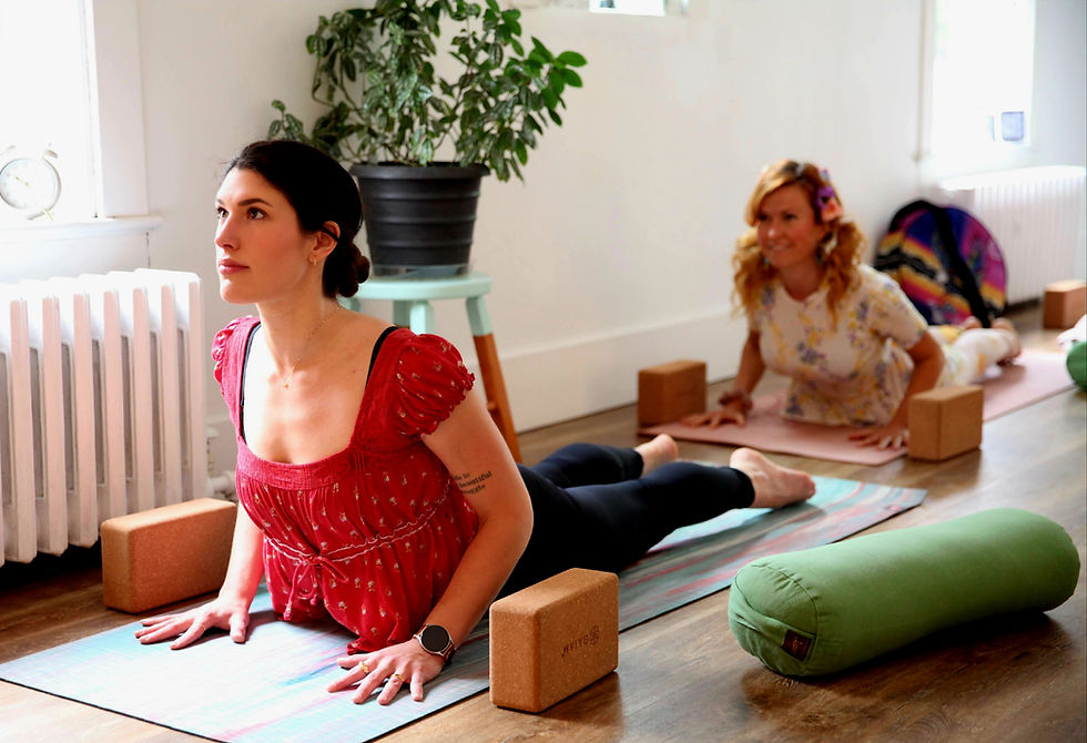 Vinyasa Yoga - Les jeudis à 17h