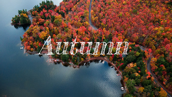 derek-sutton-sss0DlUxfGY-unsplash_edited