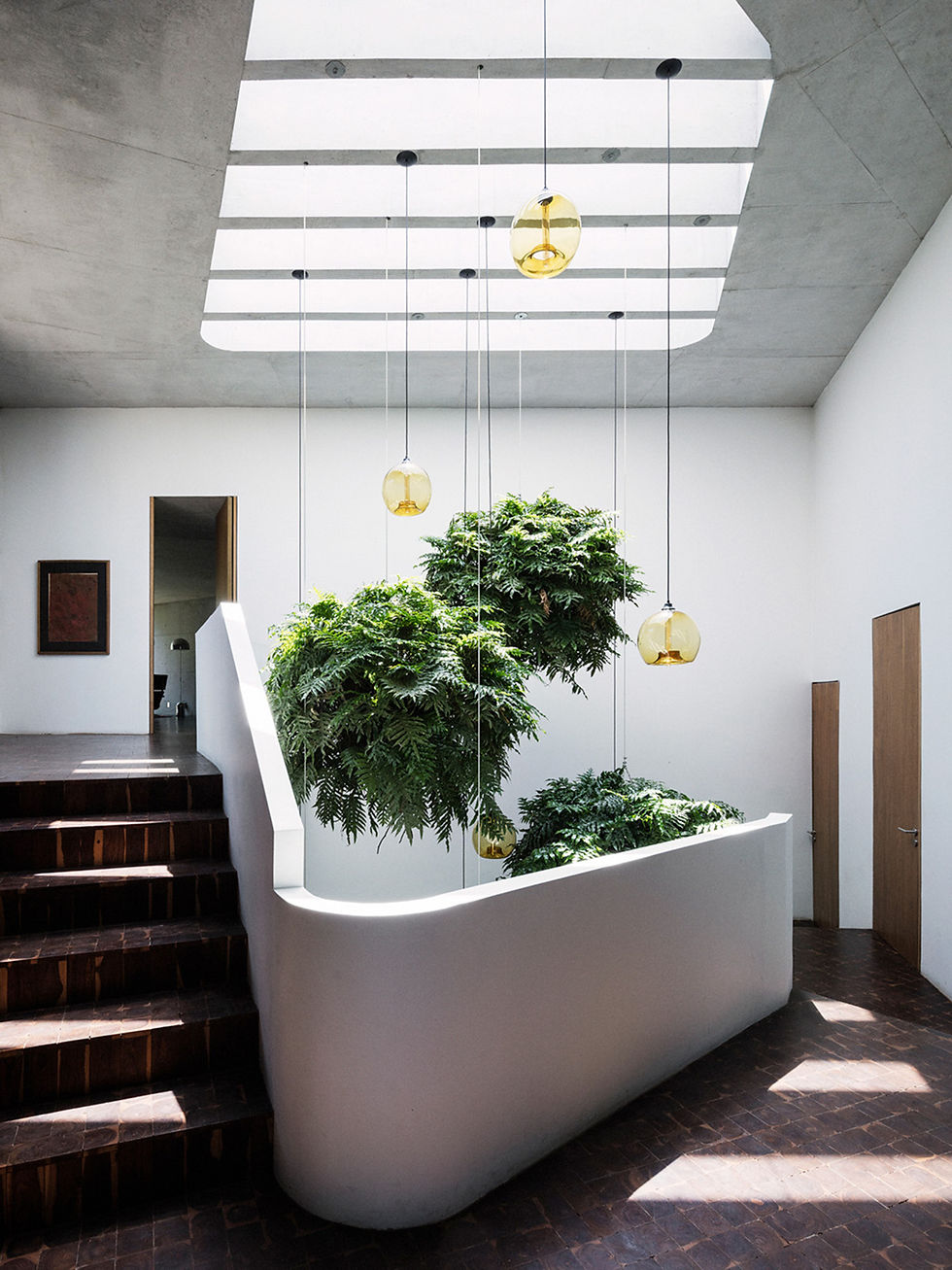 This skylight in Tatiana Bilbao's Casa Ventura project beautifully illuminates the staircase and hallway area, showcasing cascading greenery and modern design.