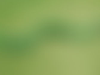AI-Powered Outreach: Connecting with Your Community in a Meaningful Way