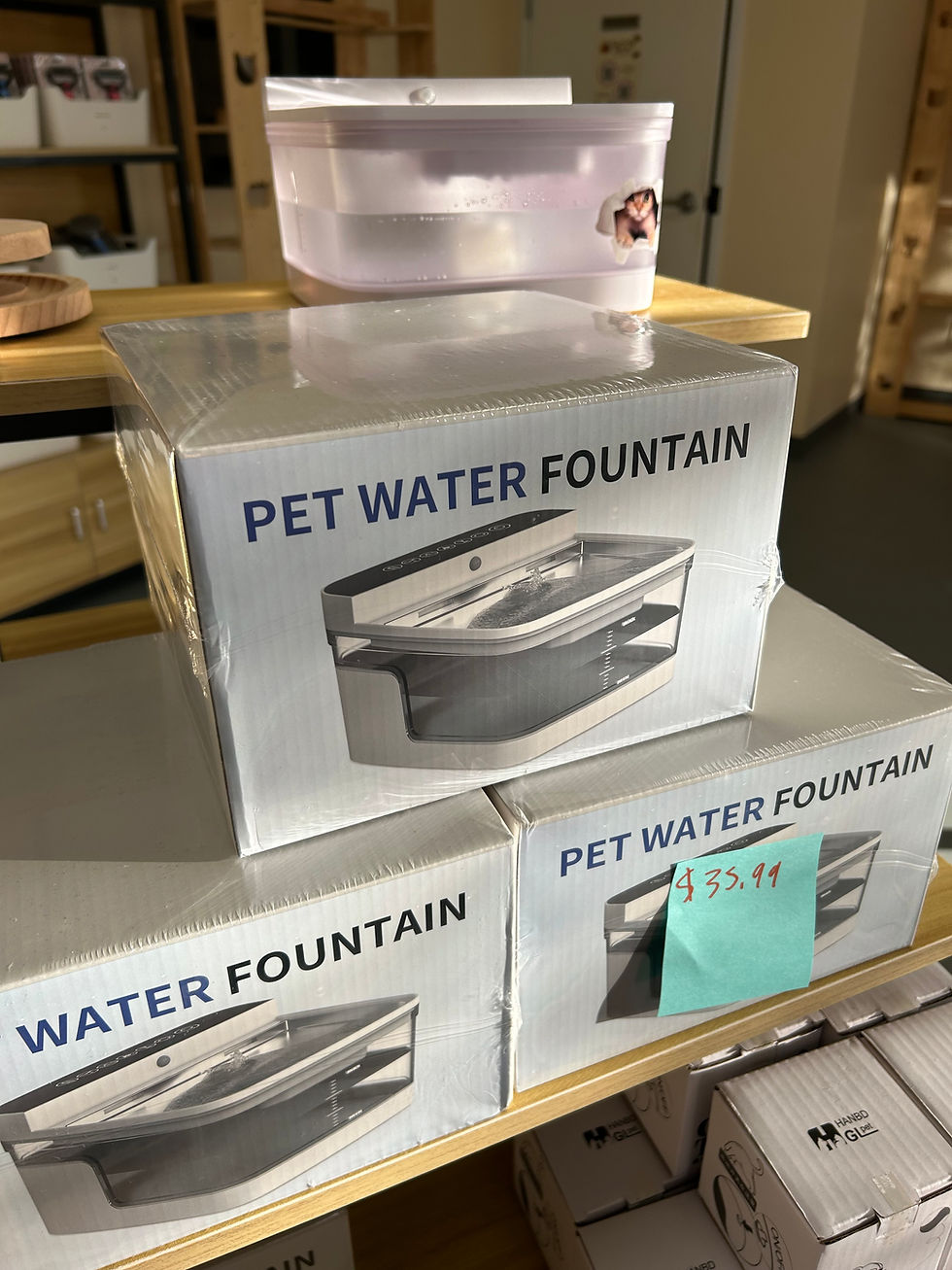 Thumbnail: Pet Water Fountain