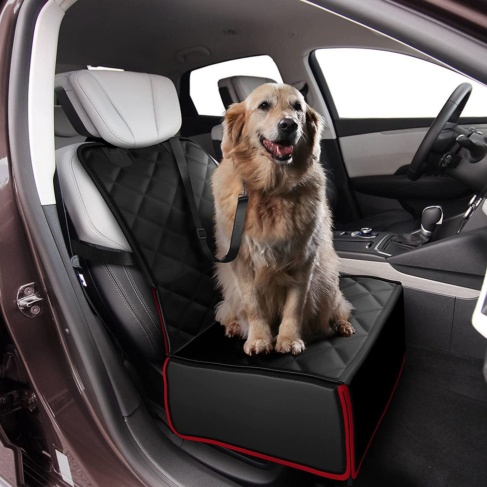 Thumbnail: Pet Car Seat