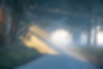 Timbarra Road 3