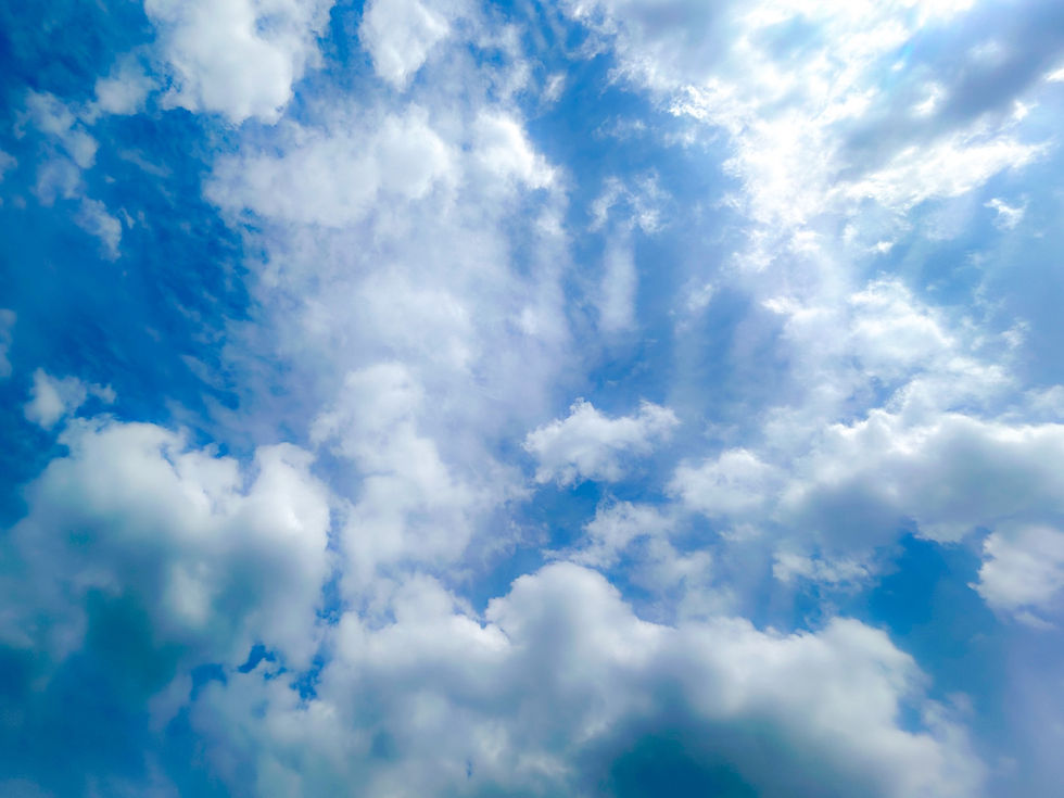 S__517513251.jpg
