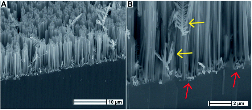 2016 - Antibacterial properties of silve