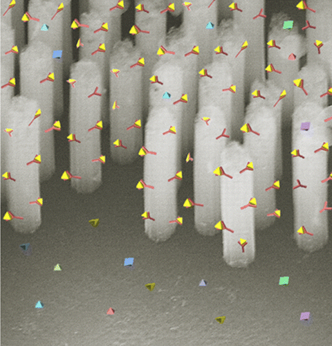 2012 - Si nanowires forest-based on-chip
