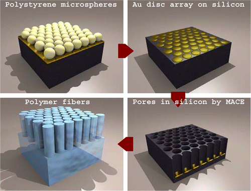 2015 - Dense arrays of uniform submicron