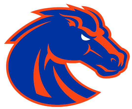 Boise State Ticket Package