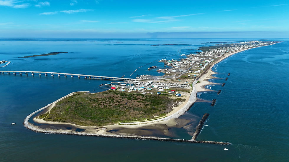 DJI_20240219133959_0011_D.jpg