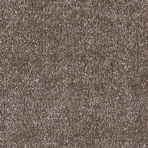 Show Stopper Carpet Peppercorn