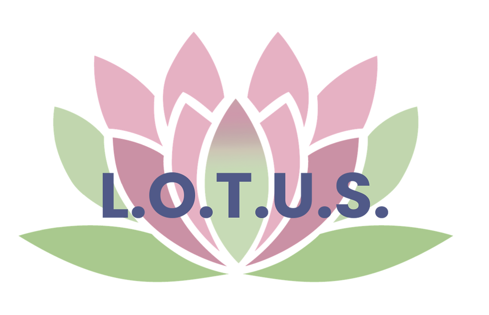 Eye-level view of a community garden flourishing with diverse plants