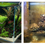 Thumbnail: 5 in 1 Aquarium Cleaning Kit for Cleaning Aquarium Glass, Removing Algae