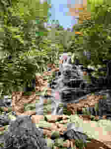Falling Waters Trail