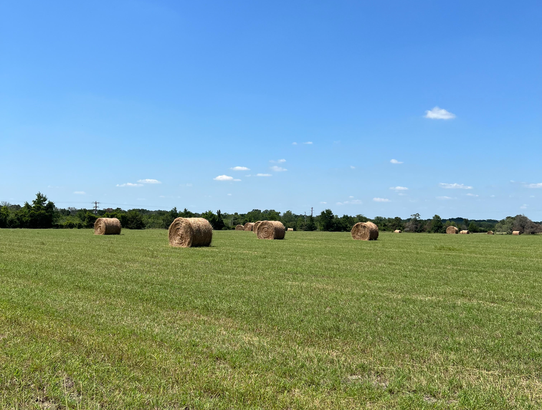 Suncatcher RV Park photo 2