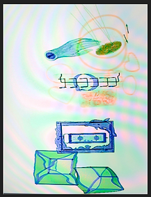 jillian mayer artist 3.png