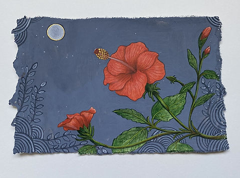 Hibiscus.jpg