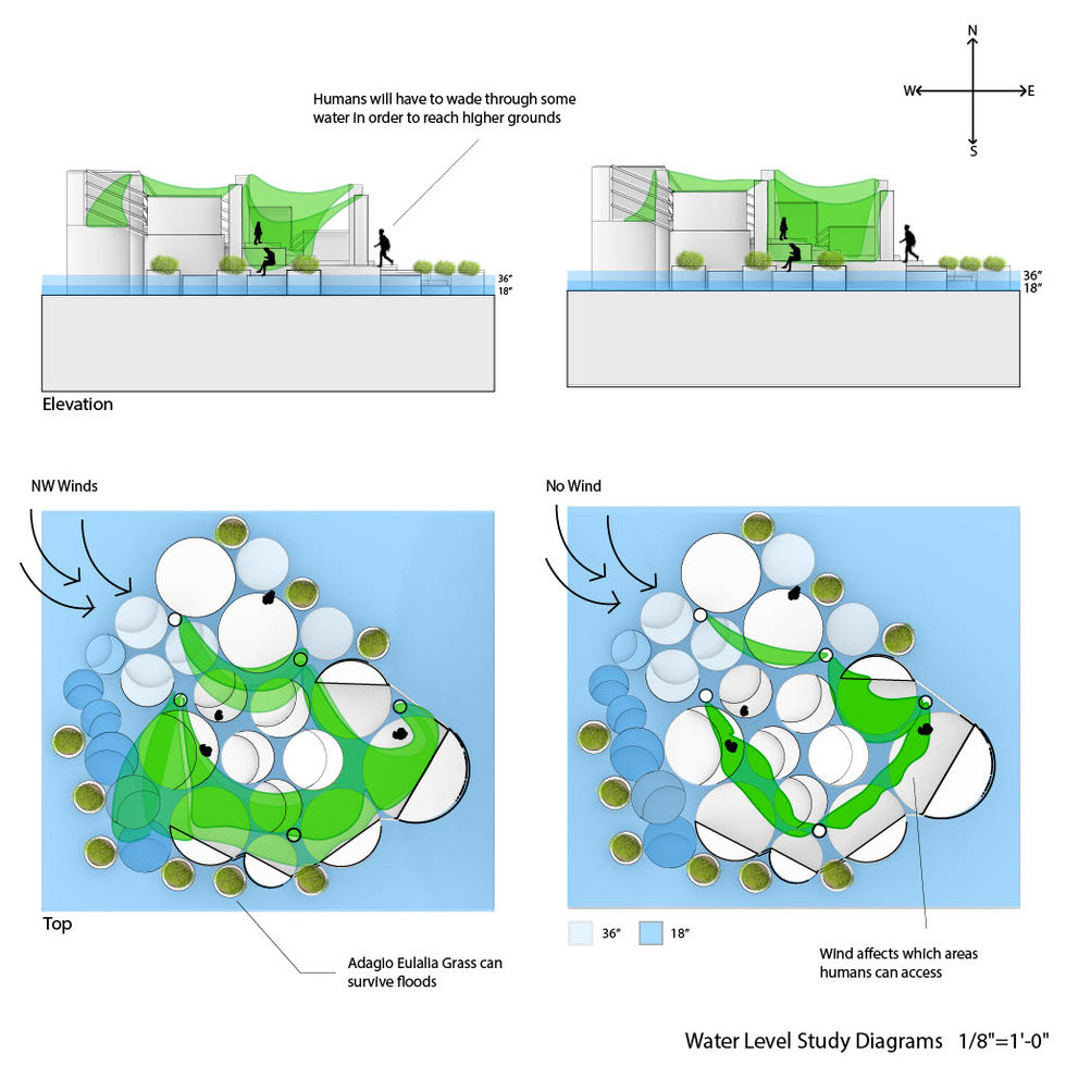 Design 102 Water Study