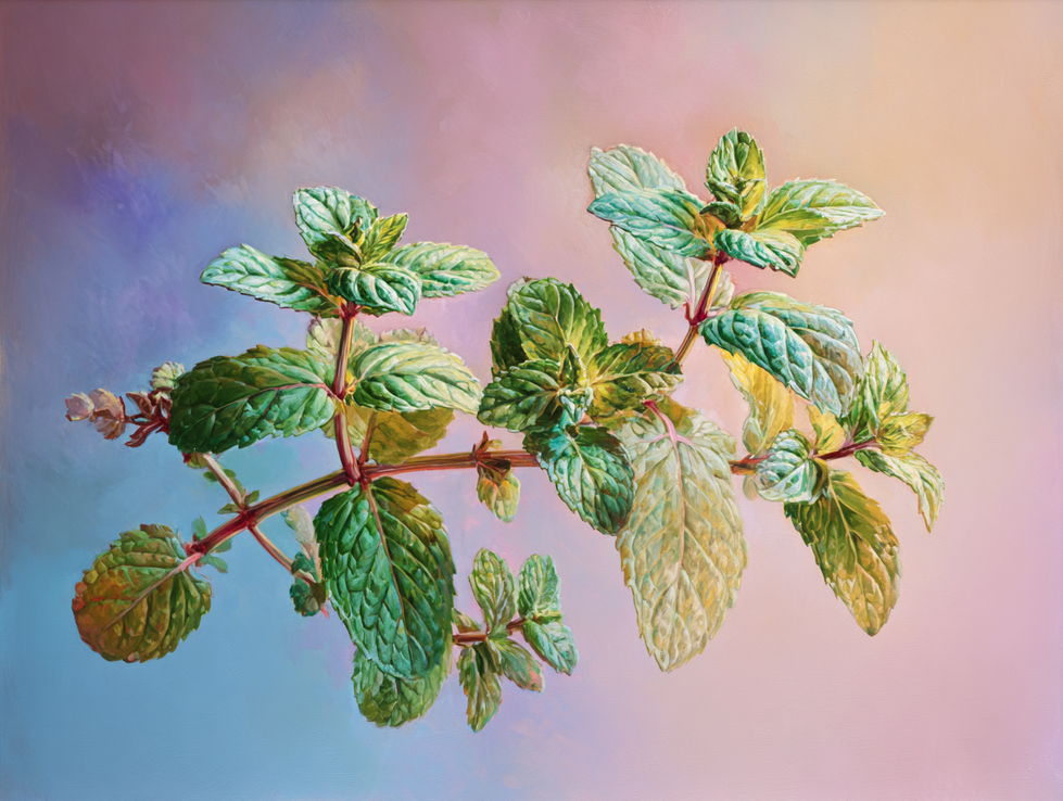 juanacho666_81331_oil_painting_illustration_of_Mint_oil_paint_30f76671-6db8-43c8-ad10-0ad3ebdd7b90_1