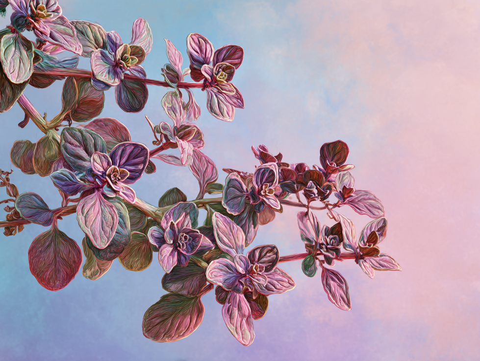 juanacho666_81331_oil_painting_illustration_of_Oregano_oil_pa_78155250-7d9e-43f4-981a-6ec4d139831d_1(1)