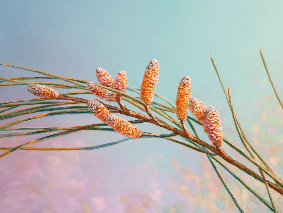 juanacho666_81331_oil_painting_illustration_of_horsetail_oil__3f4440bf-b436-4fc7-ac29-69a168b86fa7_2