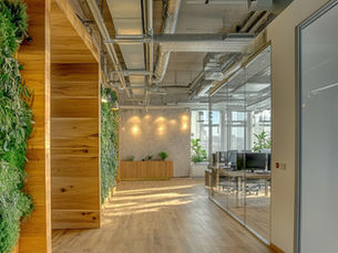 Modern eco-friendly office with reused workstations, natural lighting, and greenery, supported by ECS Solutions' sustainable sourcing and installation services.