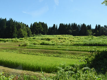 2023年度 「にいがた 農の未来」 第2回 フィールドワーク
