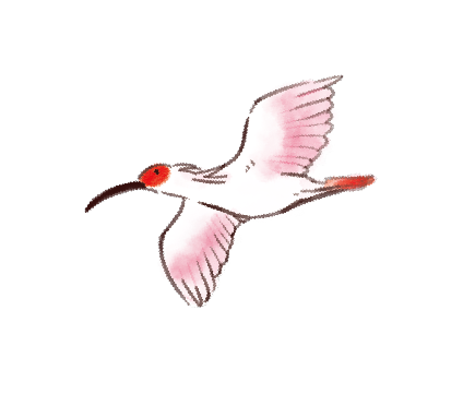 P知ろう学ぼう朱鷺2.psd_1.5x.webp