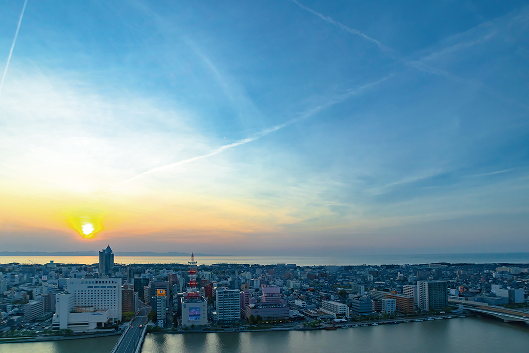 Ppixta_77320146_XL.psd_1.5x.webp