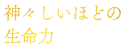 アセット 29_2x.png