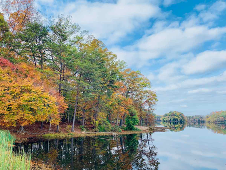 Why Burke Was Named the Best Place to Live in Virginia