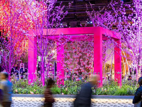 Philadelphia’s Annual Flower Show: A Must-See Botanical Experience Just Outside NoVA
