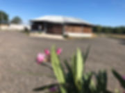 IMG_5002.jpeg