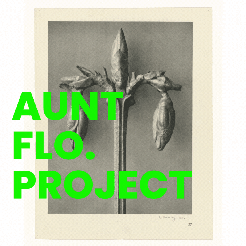AUNT FLO. PROJECT SPEED.gif