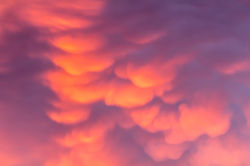 2016年08月23日　夕陽雲モコモコ