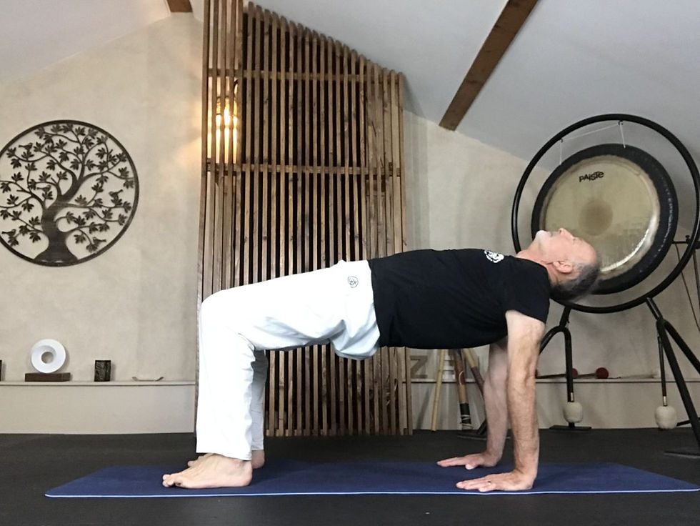 PaavanYoga-10