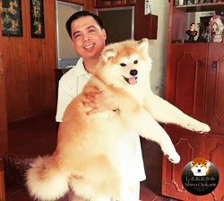 14192594_1210882688932144_1878136889319495621_n