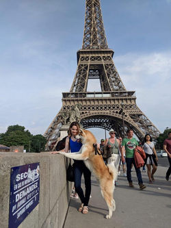 34822122_1858021794218227_42656198059412