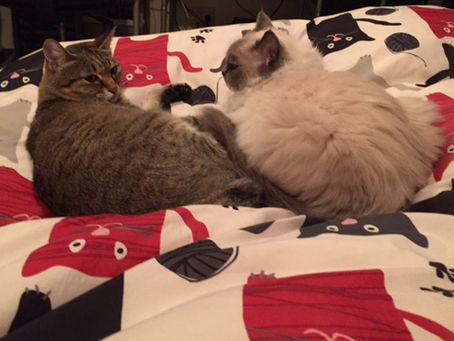 今朝 目覚めたら・・・