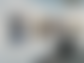 合同展と真由先生と猫たち🐈🐈🐈