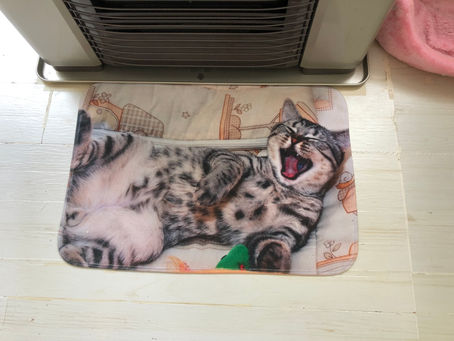 まだまだストーブ🔥