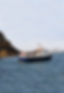 Wildlife boat trips around ramsey island
