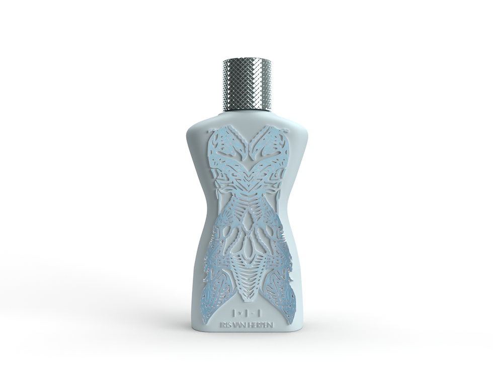 Perfume1-Current View.png
