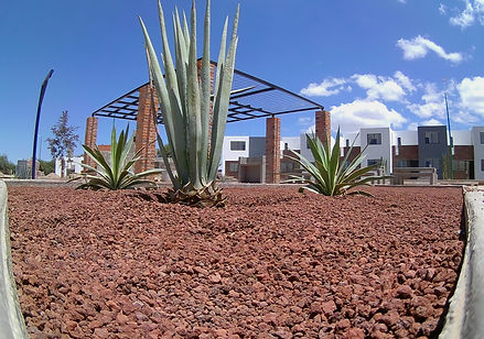 P0000368.JPG