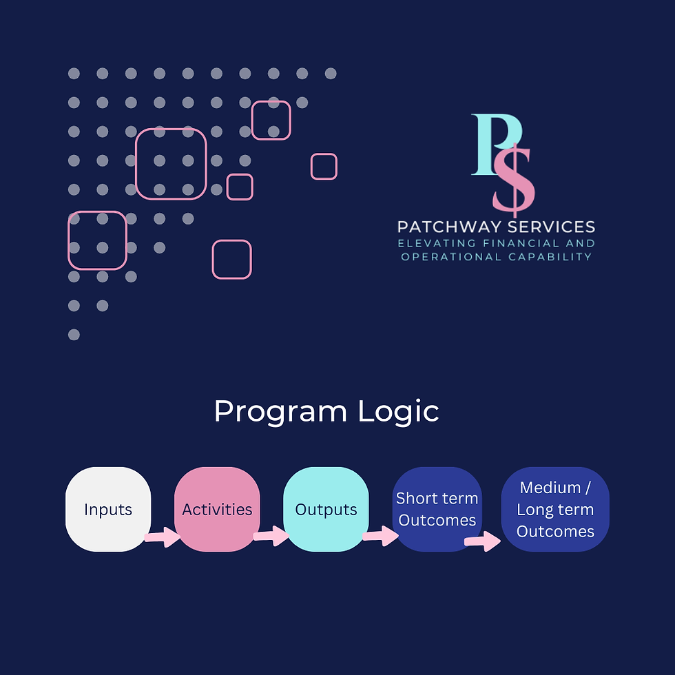 What is Program Logic and how is it used in the Public Sector?